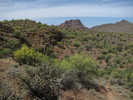 photo thumbnail #5