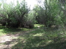 photo thumbnail #7