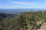 photo thumbnail #10
