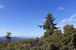 photo thumbnail #12