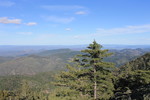 photo thumbnail #13