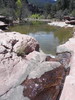 photo thumbnail #2