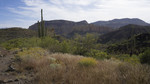 photo thumbnail #2