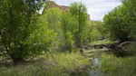 photo thumbnail #7
