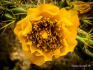 Featured Detail Photo