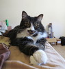 photo thumbnail #3