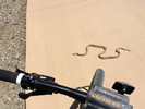 photo thumbnail #2