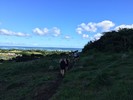 photo thumbnail #2