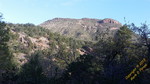 photo thumbnail #1