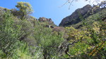 photo thumbnail #12