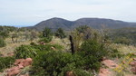 photo thumbnail #12