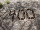 photo thumbnail #12