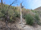 photo thumbnail #15