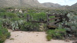photo thumbnail #6