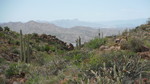 photo thumbnail #7
