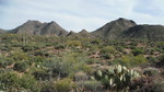 photo thumbnail #8