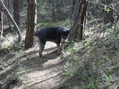photo thumbnail #2