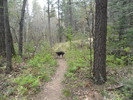 photo thumbnail #9