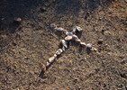 photo thumbnail #4