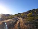 photo thumbnail #2