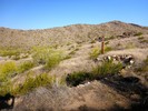 photo thumbnail #10