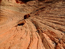photo thumbnail #6