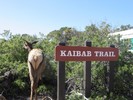 photo thumbnail #15
