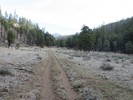 photo thumbnail #3