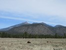 photo thumbnail #13