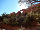 photo thumbnail #3