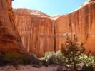 photo thumbnail #14