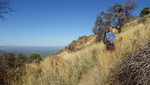 photo thumbnail #1
