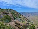 photo thumbnail #15