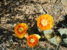 photo thumbnail #8