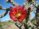 photo thumbnail #11