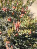 photo thumbnail #12