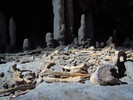 photo thumbnail #14
