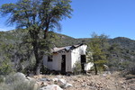 photo thumbnail #8