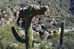 photo thumbnail #11