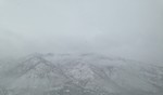 photo thumbnail #13