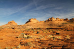 photo thumbnail #1