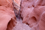 photo thumbnail #12