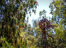 photo thumbnail #10
