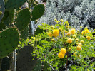 photo thumbnail #15