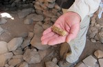 photo thumbnail #6