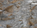 photo thumbnail #14