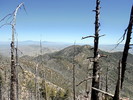 photo thumbnail #1