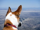 photo thumbnail #7