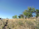 photo thumbnail #8