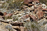 photo thumbnail #10